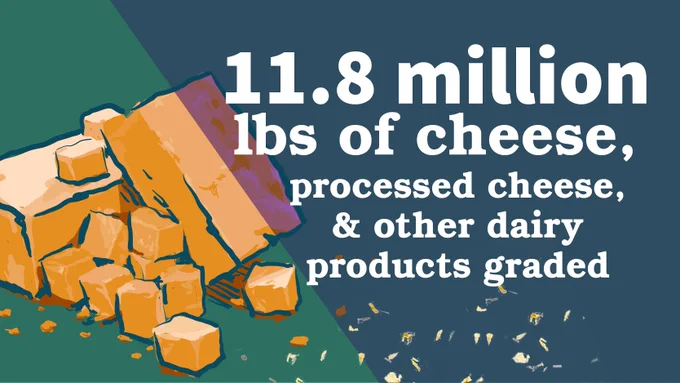 Illustration of several cubes and wedges of cheese on a green and blue background. Large text reads: "11.8 million lbs of cheese, processed cheese, & other dairy products graded.