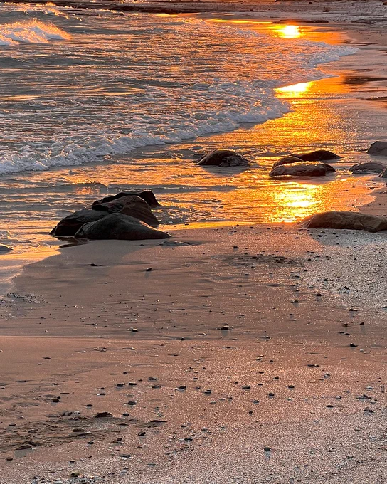 Sunset view over a beach with gentle waves lapping the shore. The orange and gold hues reflect on the wet sand and rocks scattered along the shoreline.