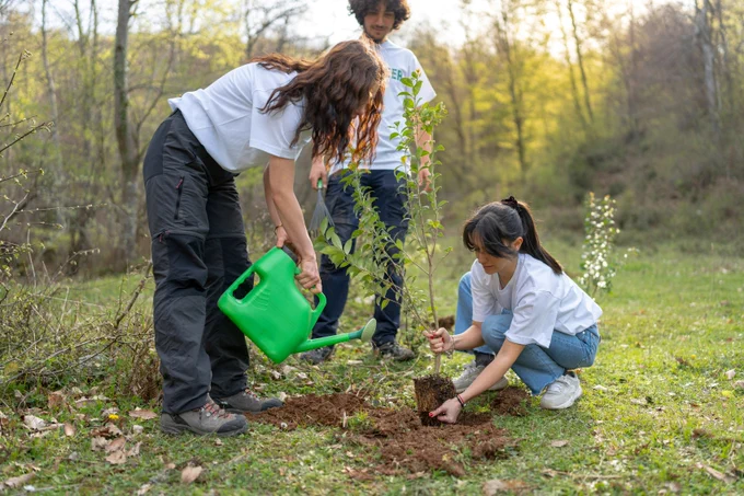 Three individuals are planting a young tree in a forested area. One person is watering the tree with a green watering can, while another supports the tree, and the third observes. They are on a grassy patch surrounded by trees and sunlight filters through the branches.
