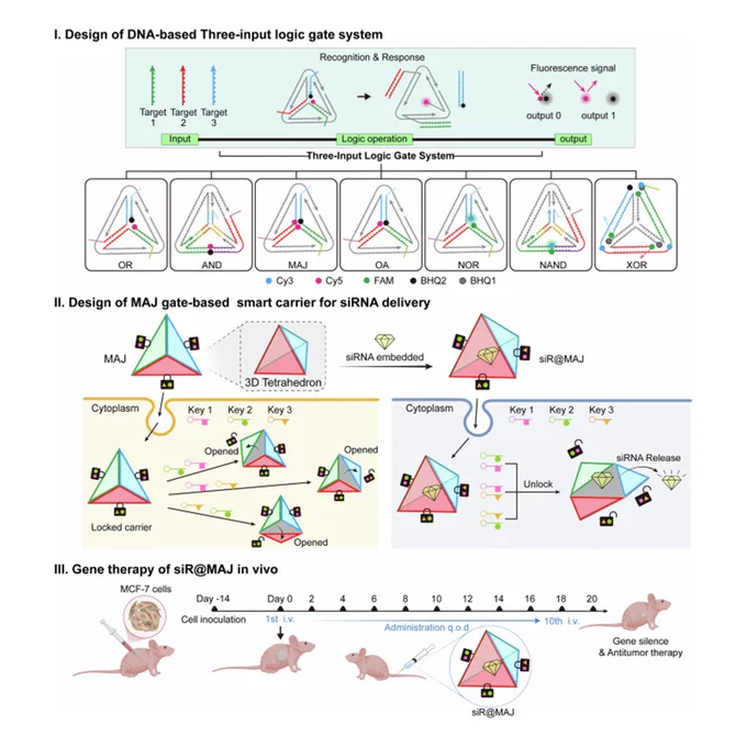 Intracellular logic computing with DNA tetrahedron processors enables precision cancer theranostics
