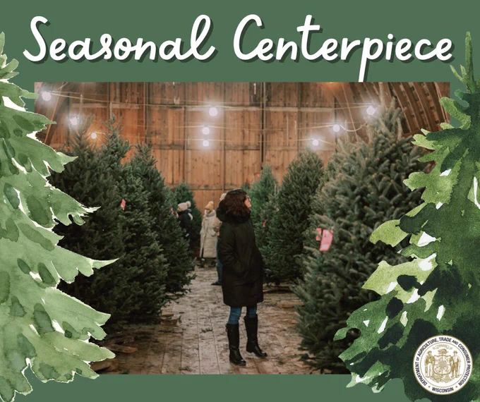 Text: Seasonal Centerpiece

Person walking and viewing Christmas trees

Wisconsin Department of Agriculture, Trade and Consumer Protection logo