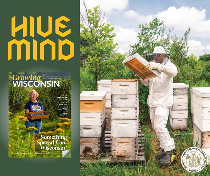 Apiary worker in a bee suit and gloves

Text: Hive Mind

Growing Wisconsin magazine

Wisconsin Department of Agriculture, Trade and Consumer Protection logo