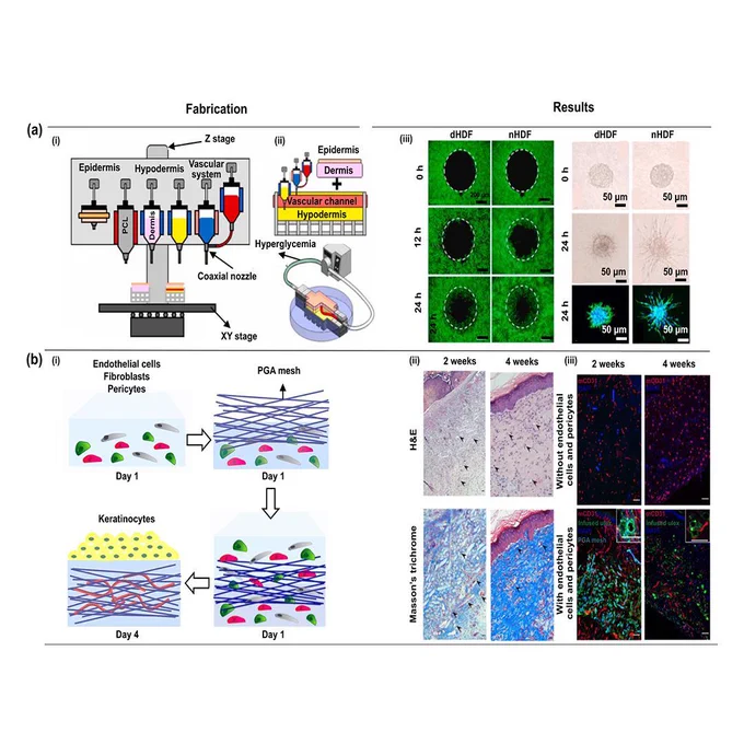 Advancements in 3D skin bioprinting: processes, bioinks, applications and sensor integration
