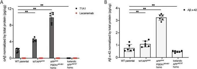Figure from Annals of Neurology paper on Abeta oligomer detection by 71A1 monoclonal antibody