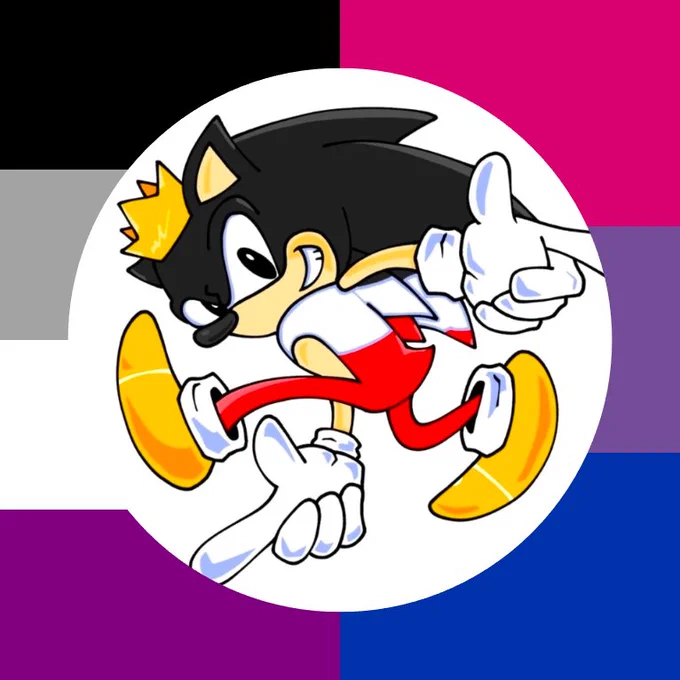 Biromantic asexual Kaiser the Hedgehog.
