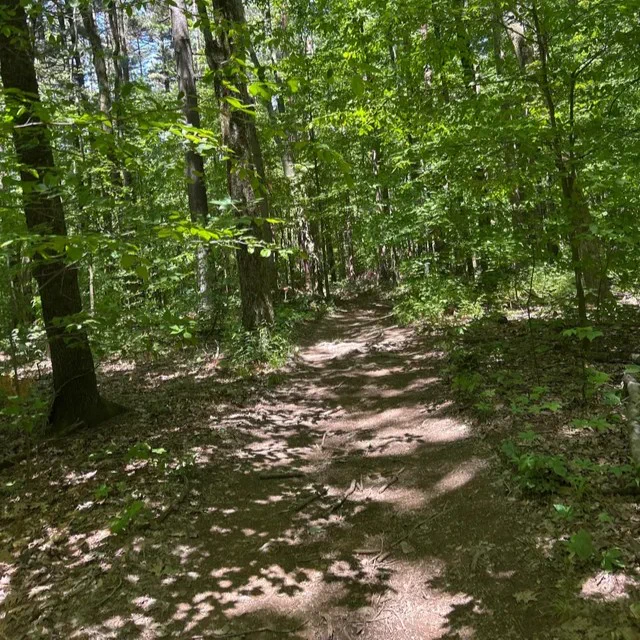 Mohican State Park by Alexandra Morris
