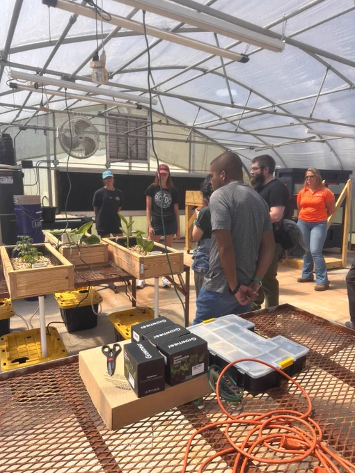 Youth and staff gather around plants in the greenhouse.