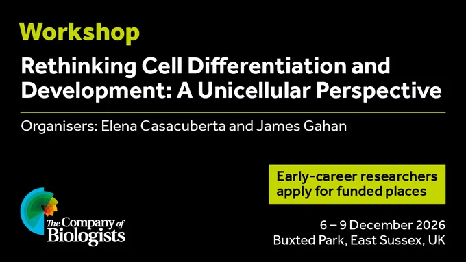 Workshop: Rethinking Cell Differentiation and Development: A Unicellular Perspective

Organisers: Elena Casacuberta and James Gahan

Date: 6 – 9 December 2026

Venue: Buxted Park, East Sussex, UK