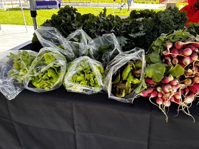 Fresh veggies for sale