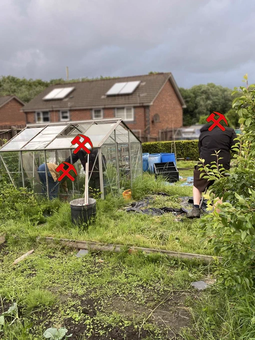 [Alt Text 1.] Inside of an opaque greenhouse are two Welsh Underground Members gardening. One is picking weeds out of the plant bed, while the other is watering plants with a large watering can. Outside the greenhouse, is a person strimming the grass with a large electric strummer. They are stood in a grassy garden on an overcast day. In the grassy garden, is a large metal dustbin filled with poles and wooden beams. At the front of the image, is a garden bed full of soil, grass, weeds, and leaves.