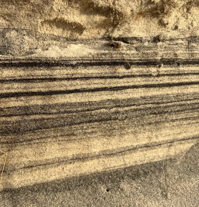 Layers of golden, brown, and black heavy mineral sand deposits. Photo by Kerby Dobbs, BOEM. 