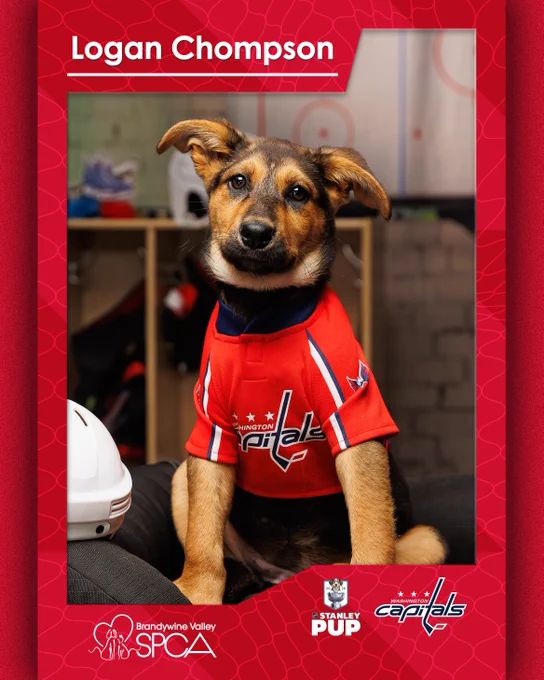 A trading card featuring Logan Chompson, this year's Stanley Cup representative for the Washington Capitals.