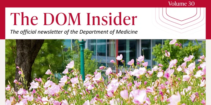 Welcome to the latest edition of The DOM Insider