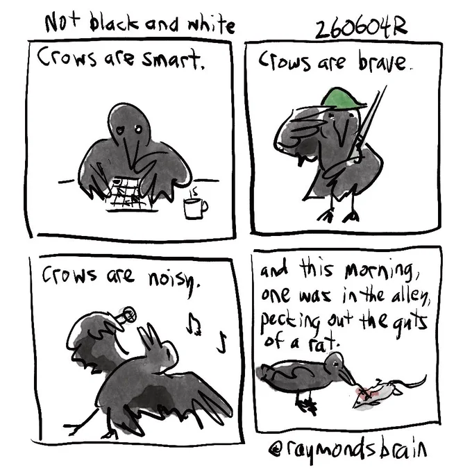 Crow doing crossword; crow in army helmet with rifle; crow singing; crow and dead rat
