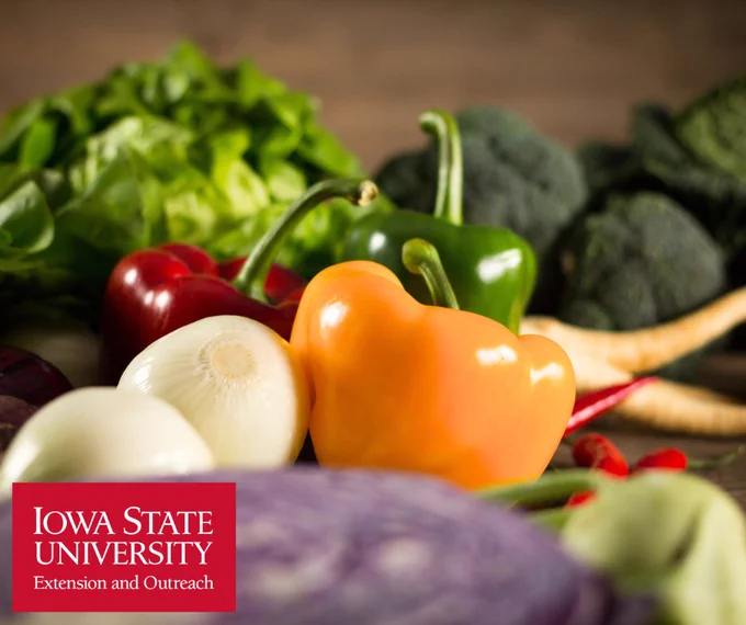 Close-up of fresh vegetables including orange, red, and green bell peppers, onions, lettuce, broccoli, and purple cabbage on a wooden surface.