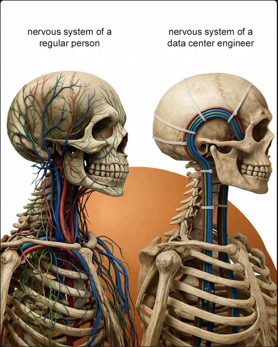 Two skulls side-by-side. Left: "Regular person" with a messy, organic web of red, blue, and green vessels. Right: "Data center engineer" with the same vessels perfectly bundled and secured with zip ties, mimicking professional cable management.