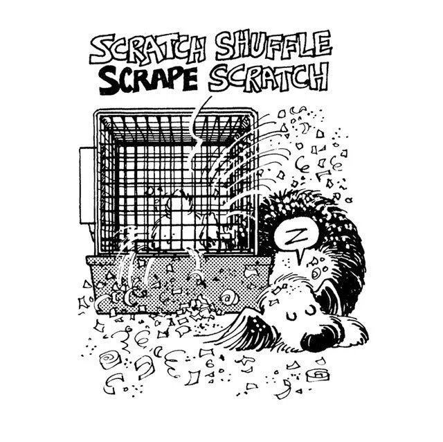 Edgar is sleeping beside the rabbit hutch, where the rabbit is kicking shavings all over the place.