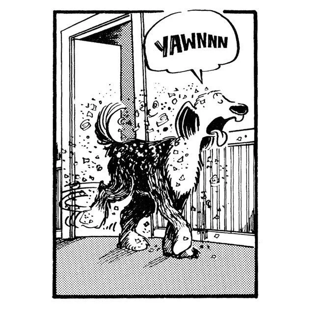 Edgar walks away yawning, trailing shavings.
