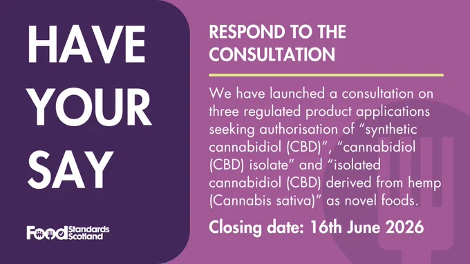 The image is an informational graphic from Food Standards Scotland. It announces a consultation on synthetic cannabidiol, cannabidiol isolate, and isolated cannabidiol derived from hemp as novel foods. The consultation closing date is 16th June 2026. The background is a mix of purple and pink tones.