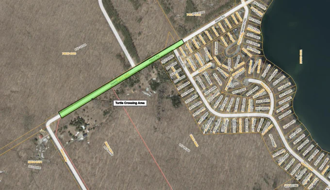 Map highlighting a designated turtle crossing area along Concession 18 East/Allport Road