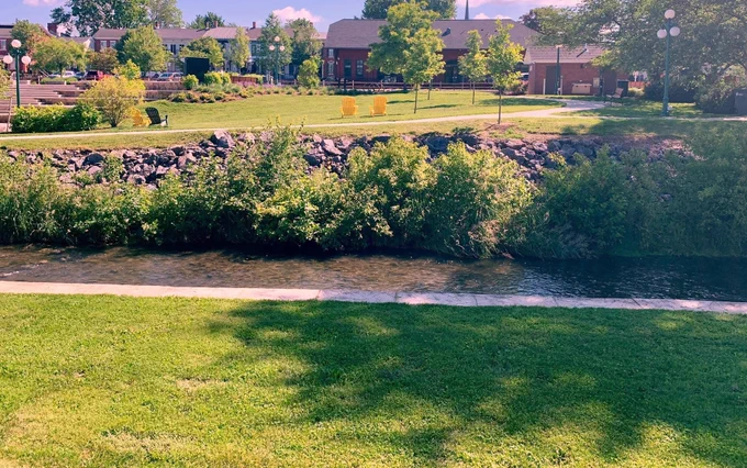 A peaceful park scene with a small creek bordered by rocks and lush greenery under a sunny sky.