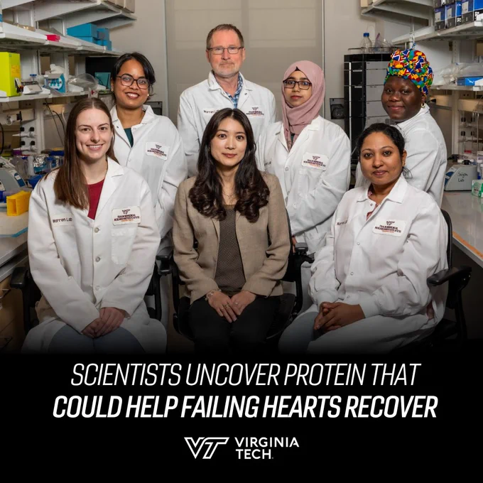 Junco Warren (at center), an assistant professor at the Fralin Biomedical Research Institute at VTC, helped lead a study published in the Journal of the American Heart Association that sheds light on the process of recovery from heart failure. Members of her lab including (from left) Audrey Korte, Mysha Alabbi, Alexey Zaitsev, Samia Tasneem, Karthi Sreedevi, and Abigail Doku study the mechanisms underlying metabolic reprogramming in the failing heart.
