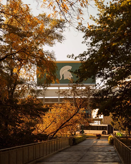 View of Spartan Stadium framed by golden autumn foliage on Michigan State University\u2019s campus, with a pedestrian walkway and CATA bus visible in the foreground.