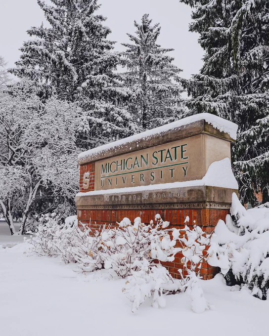 The Michigan State University entrance sign covered in fresh snow, surrounded by snow-covered trees and landscaping during a winter snowfall.