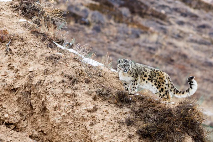 Photo: Saltore Saparbayev