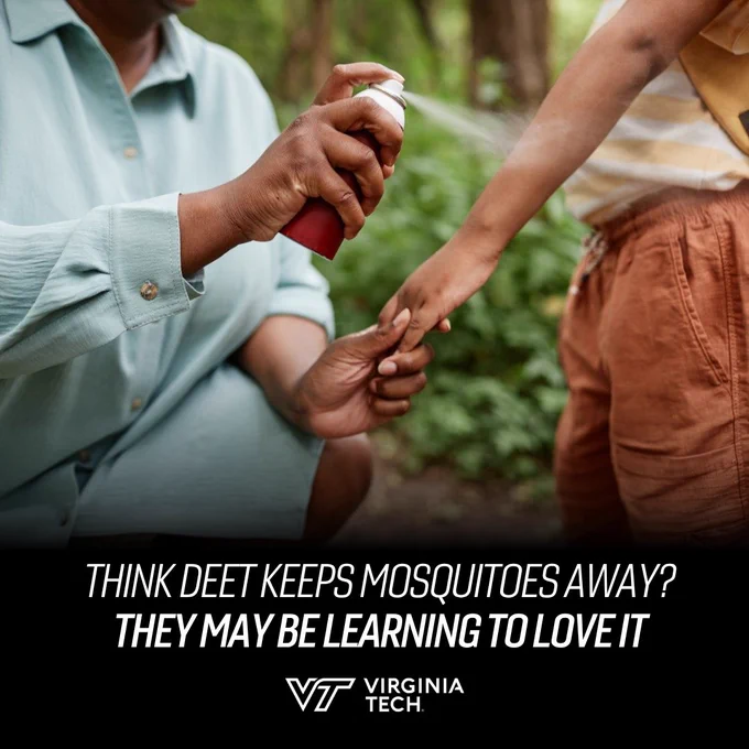A parent is seen spraying bug spray on a child's arm. Text on screen reads: "think DEET keeps mosquitos away? They may be learning to love it."