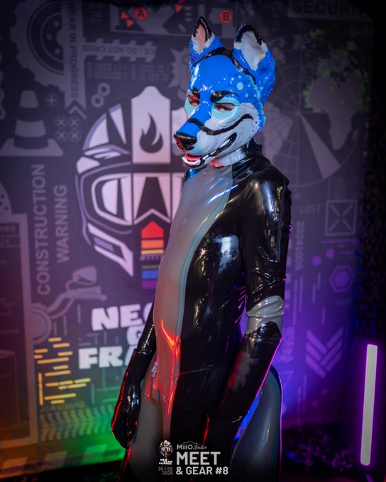 A blue shiny latex dog looking deep in your eyes