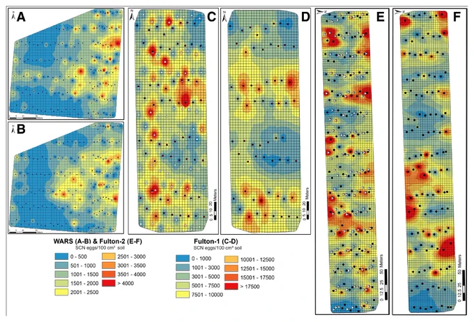 Fig. 2.
Maps display the geospatial distribution of Heterodera glycines egg population densities. Maps were created using inverse distance weighting interpolation analysis at three locations in Ohio: Western Agricultural Research Station (WARS) (A and B), Fulton-1 (C and D), and Fulton-2 (E and F), during the fall of 2022 and 2023. Soil samples were collected either automatically through an automated precision soil sampler (A, C, and E) or manually using a stainless soil probe (B, D, and F). The color gradient on the maps (ranging from red to blue) illustrates varying levels of H. glycines egg population densities, with red indicating higher densities and blue indicating lower densities. The black dots represent the soil samples used for objective 1, whereas the white triangles represent the soil samples used for objectives 2 and 3. SCN = soybean cyst nematode.