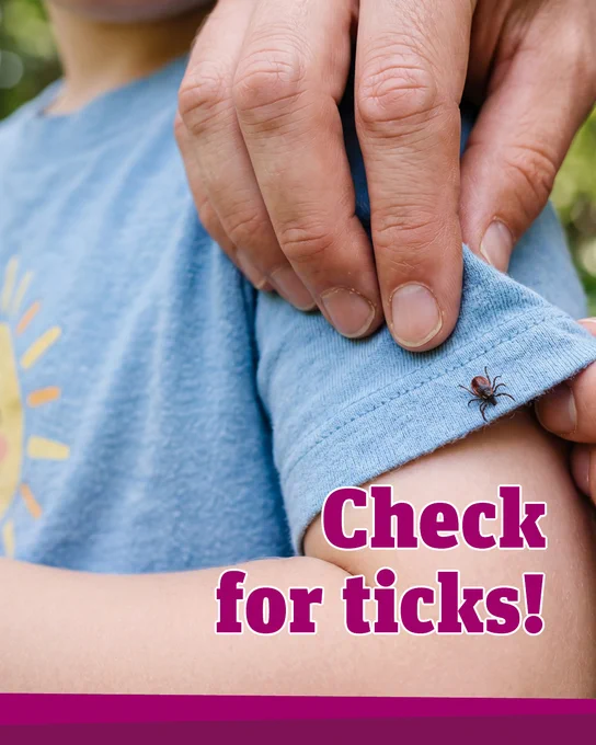 Check for ticks!
A man is holding a child's arm and showing a tick on the child's shirt.
