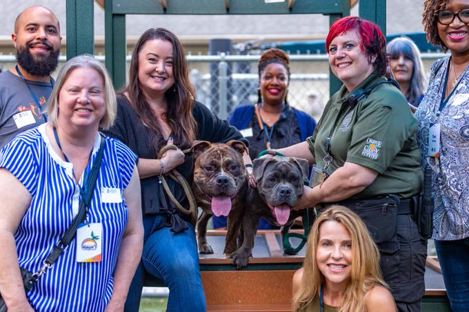 Participants in Mayor's Citizens Academy smiling and posing with two dogs at Orange County Animal Services. They are gathered around a wooden structure, and one person is wearing a uniform labeled "Orange County Animal Services." The dogs are sitting in the center.