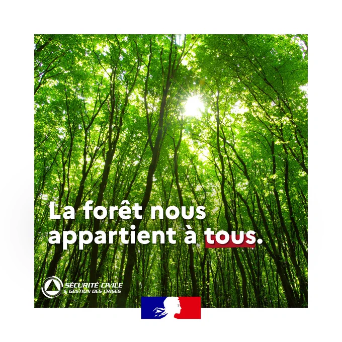 Photo d'une forêt dense aux arbres verts et feuillus baignés de lumière, avec le texte « La forêt nous appartient à tous. » en blanc et rouge. En bas à gauche, un logo de la Sécurité civile & gestion des crises, et au centre, un emblème tricolore bleu, blanc, rouge avec le profil de Marianne.