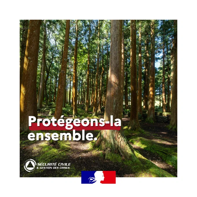 Photo d’une forêt dense avec de grands arbres droits et de la lumière traversant leurs feuillages. Au premier plan, un texte sur une bande rouge indique « Protégeons-la ensemble. ». En bas à gauche figurent le logo de la Sécurité Civile et de la Gestion des Crises, et au centre le symbole bleu-blanc-rouge de la République française.