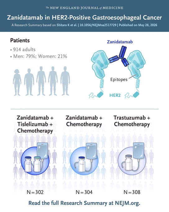 The image is from a Research Summary published in the New England Journal of Medicine about a study on zanidatamab in HER2-positive gastroesophageal cancer. It mentions 914 patients, with a breakdown of 79% male and 21% female. Below the title on the right is an illustration of zanidatamab binding to HER2 epitopes. There are three treatment groups: zanidatamab with tislelizumab and chemotherapy (302 patients), zanidatamab with chemotherapy (304 patients), and trastuzumab with chemotherapy (308 patients). A prompt invites readers to view the full Research Summary at NEJM.org.