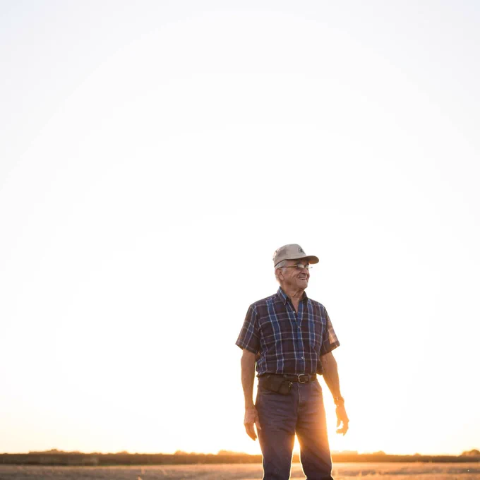 Old farmer stands in field with sun setting in the background. 