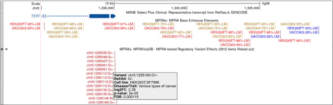 MPRA Base elements and MPRAVarDB variants at the TERT promoter (chr5, GRCh38/hg38). MPRA Base (top) shows reporter activity for melanoma risk variants tested in HEK293FT and UACC903 cells (Choi et al., 2020). MPRAVarDB (bottom) highlights high-confidence allelic effects from saturation mutagenesis of the TERT promoter (Kircher et al., 2019).