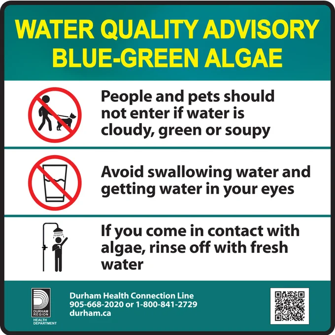 A sign titled "Water Quality Advisory - Blue-Green Algae" issued by Durham Region Health Department. It includes three warnings: do not enter if water is cloudy or green, avoid swallowing or getting water in eyes, and rinse off with fresh water if contacted with algae. A phone number and website are provided for more information.