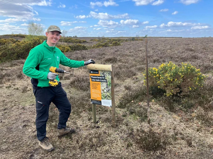 A volunteer in Forestry England uniform standing on a heathland, beside a sign, they have just installed, with guidance about keeping to tracks during ground-nesting bird season. The sky is blue with scattered clouds.