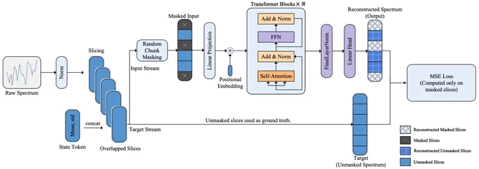 Architecture of the spectrum encoder based on masked modeling from Dong etal (2026).