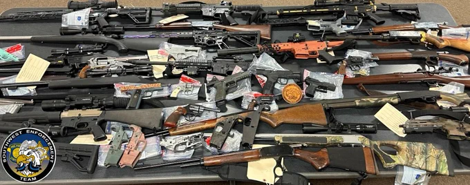 Photo of a large quantity of firearms laying across a table.