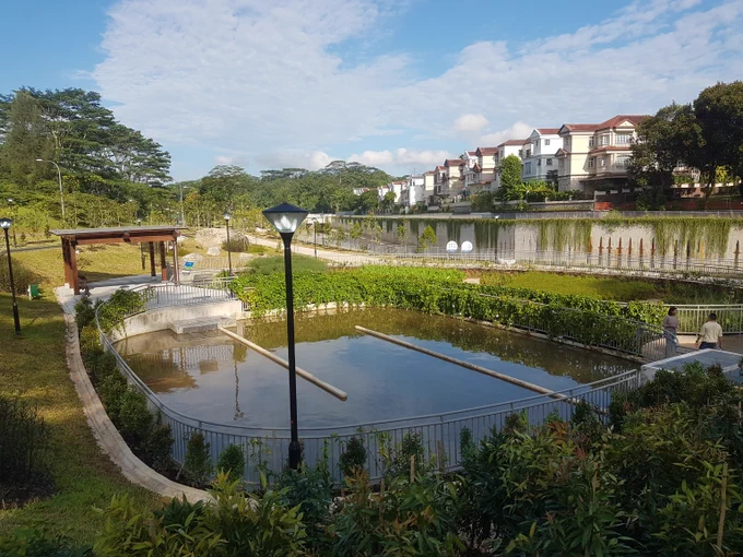 A serene park with a small pond surrounded by greenery and a row of modern houses in the background under a partly cloudy sky.
