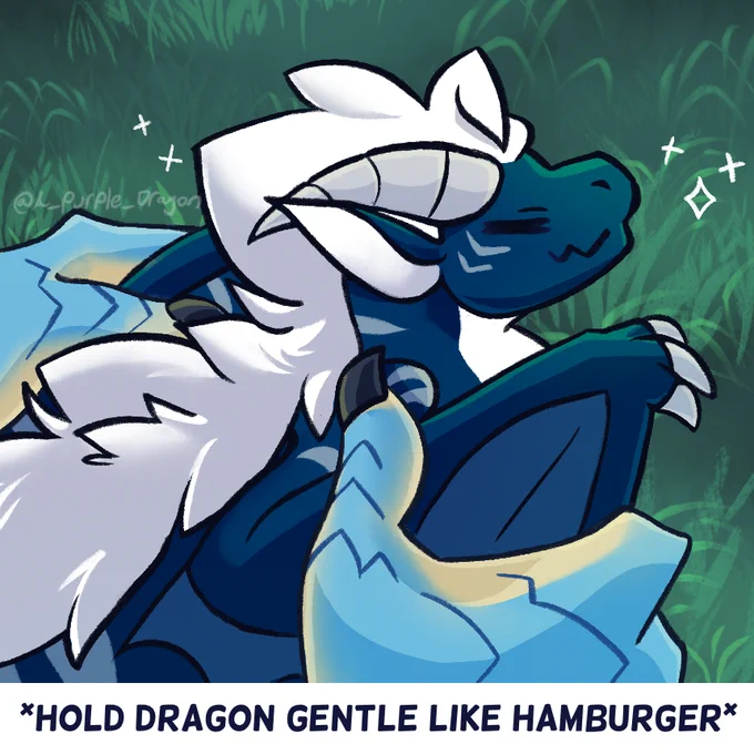 For Waggoboyo on bsky! A dragon is being contently held above the ground, with the caption “Hold Dragon Gentle Like Hamburger”