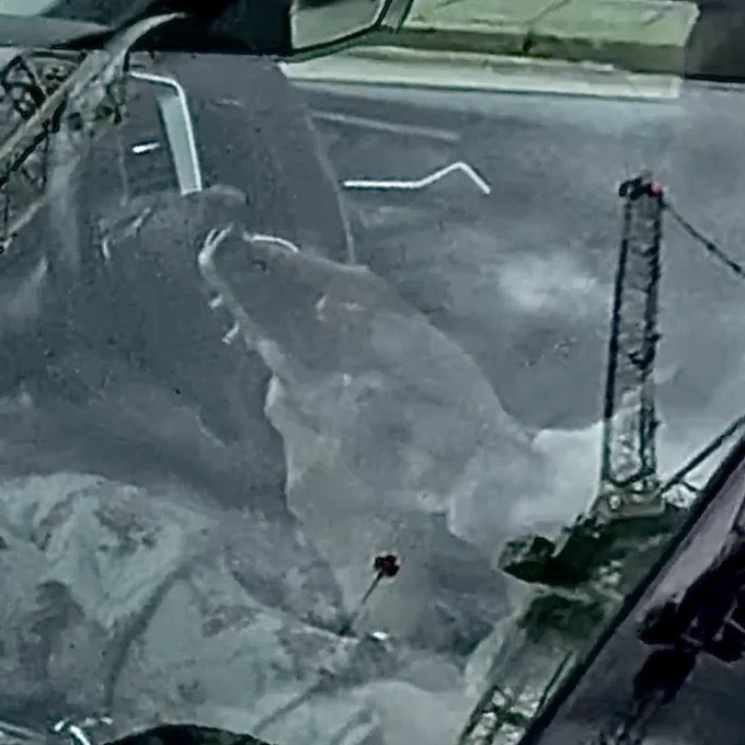 A still frame taken from a video which shows a driver using a handheld mobile telephone.
