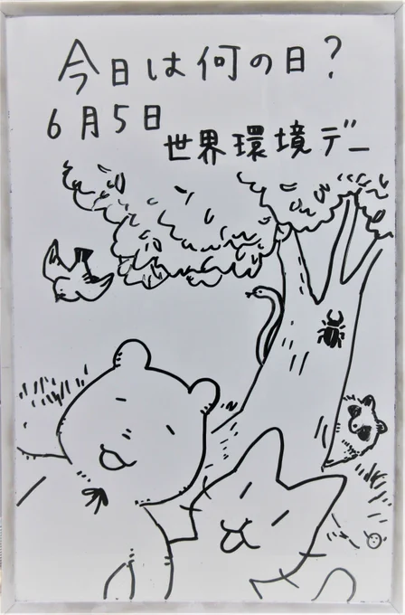 6月5日は世界環境デーです。