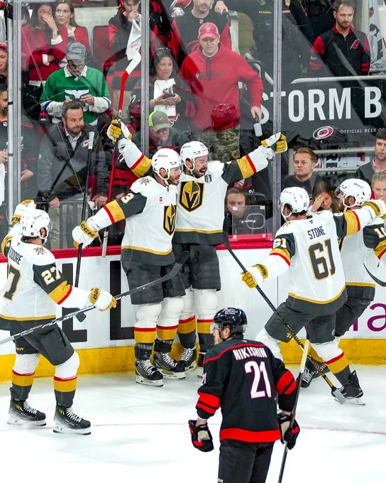 Tomas Hertl goal celly