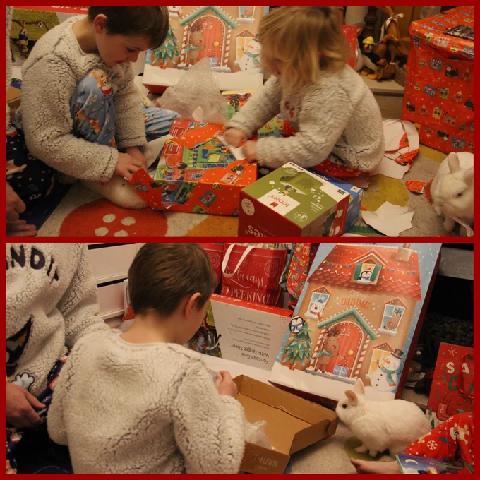 Two photos of two young boys in Bluey Christmas pyjamas, sat on a white rug with coloured spots, surrounded by Christmas presents still wrapped. They are opening presents together, some are on the floor around them. On the top photo Neil, a white Netherlands dwarf rabbit is eating wrapping paper to the right of the children. On the bottom photo, he is to the right but this time chewing the edge of a cardboard box a child has opened.