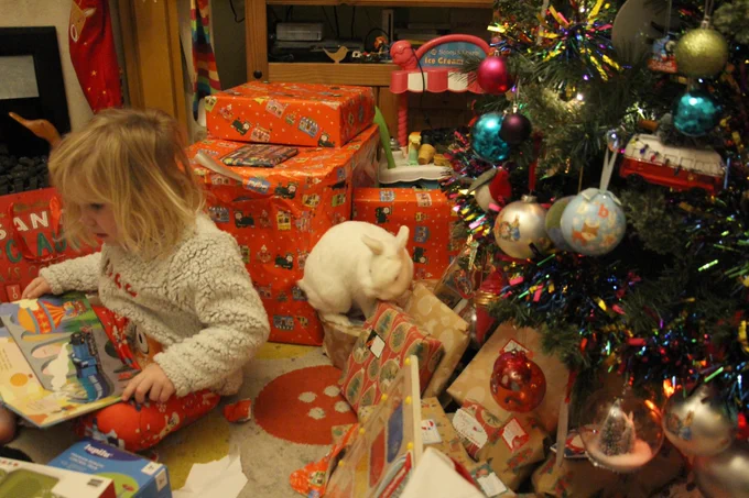 At the right of the image is a green artificial Christmas tree with various decorations on it. At the front are presents already open on the floor, the left is a blonde haired boy looking at a train book. At the back of the photo are many presents wrapped in red Christmas paper. Near the tree, a white Netherland dwarf rabbit has climbed onto a present and is sat rather uncomfortably turning back where he came, questioning his decision!